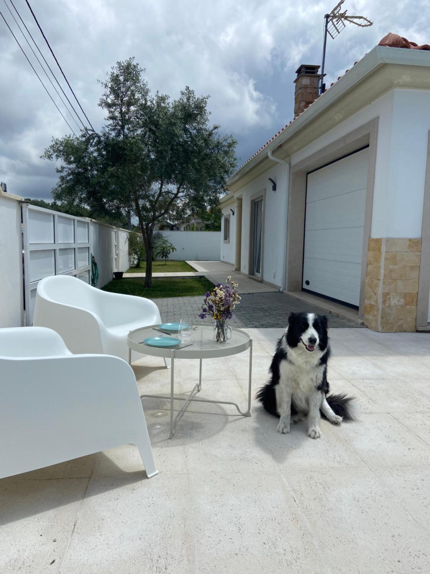 Charming Villa With Private Poll Alcobaca Bagian luar foto